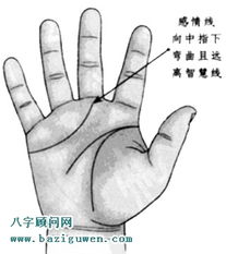 四、 感情运势：波澜起伏中的警示信号