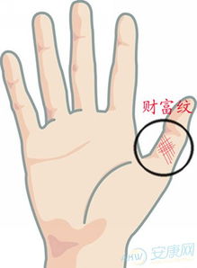 手相的高清图上，哪些线条代表财运？