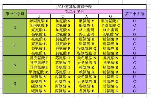 一、闰月基本概念与核心原理