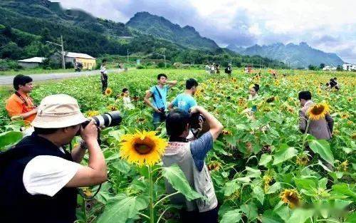 泗安村：柿子园、瑶药和竹筏漂流 (桂林山水不如泗安村？）
