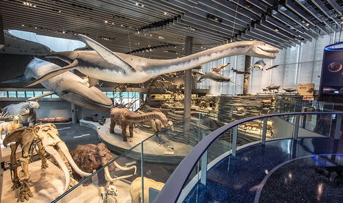 现场实况：人间地狱or儿童乐园？