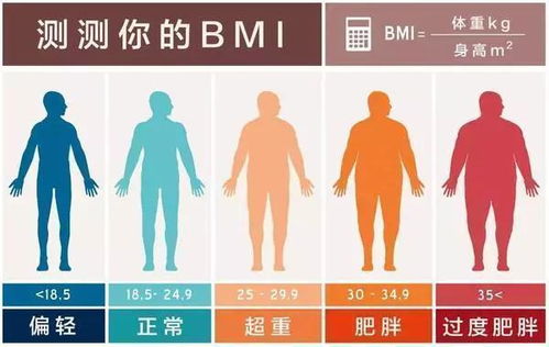 二、 灵活变通策略：实现人生沉重较大成就的方法论