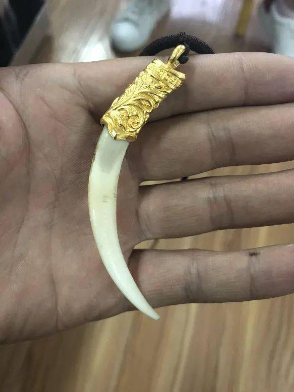 独角兽能辟邪吗？十种驱邪中药吉凶解析有哪些？