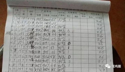 ：修房动土之时序选择的学术探讨