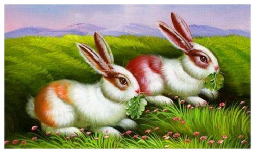 1975年属兔的女孩，哪一年财运最旺，能改写为1975年属兔的女孩，哪一年财运最为亨通？