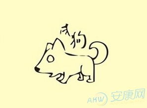 属狗的五行中哪一种最好？属狗五行一览表具体是什么意思？