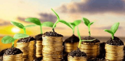 生意人梦见韭菜：股市K线既视感