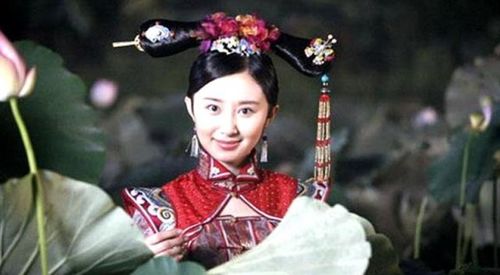 二、 去世原因之史料争议