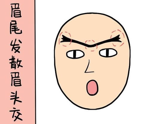 二、 鼻相与财富运势