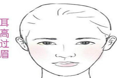 三、  鼻部形态：意志力与施行力的象征