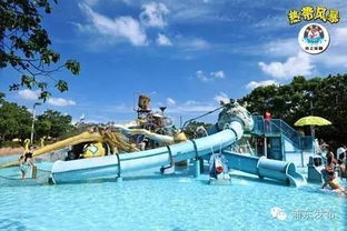 到底要去哪里玩水呢这是个问题