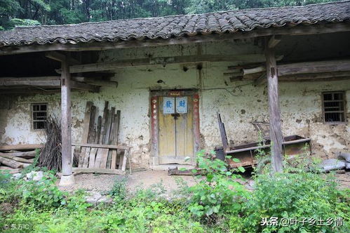 梦见住在老房子里是什么预兆或象征？