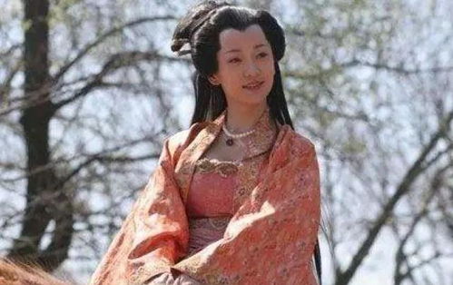 二、 较高阳公主身份定位与诞生年代