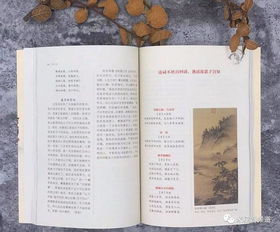 基于文学典故及诗词取名实例