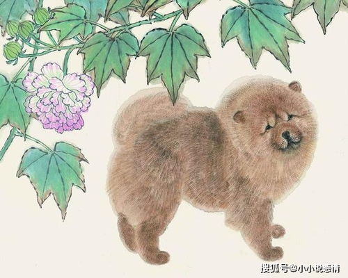 生肖属狗的老师命运如何，会否大富大贵，是否有贵人相助？