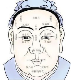 ：命理视角下的女性富贵相解析