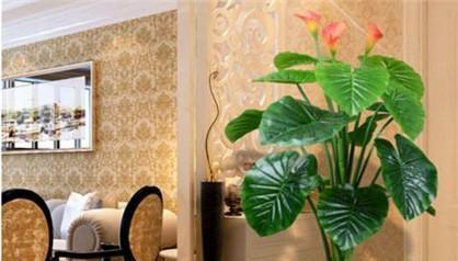 四、  自然元素的引入：绿色植物的生机与化解之道