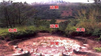 八字看阴宅是根据谁的具体八字来选择墓地？