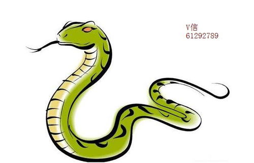 2018年十二生肖运势中，哪三大生肖的运势最为突出？