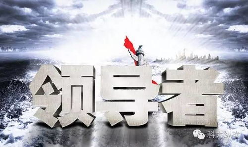 权力结构与领导力：解读“霸道总裁聚集大会”的社会学意义