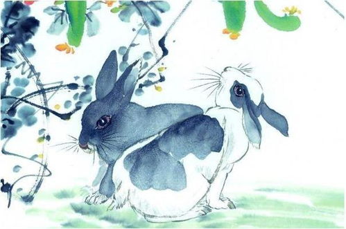 1951年属兔人2026年农历二月运势和99年属兔人在2026年的运势分别如何？