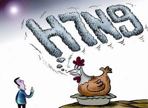 三、 风险规避与化解措施：平衡传统与现实