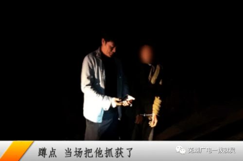 ：午夜警钟与圆木警枕的神秘交织