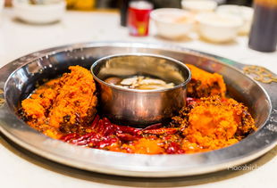  : 别来 ! 千万别来 !