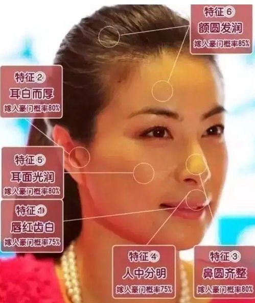 概论：面相学中脸型的分类及其社会行为倾向之系统性阐释