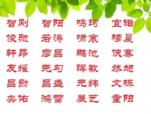 来堪堪这些带“通”字的名字是怎么回事