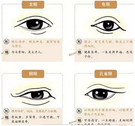 眼睛特征与性格运势