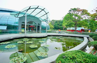 室内派的选择:夏宫和其他健身俱乐部