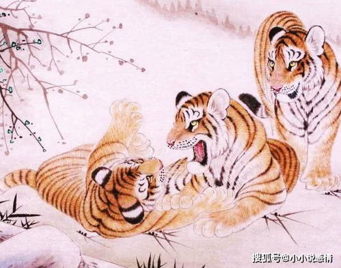 2026年属虎的三大喜事和福气详解具体是什么？