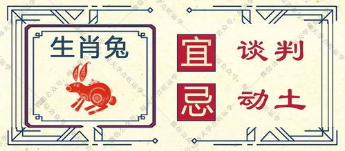 女性十二生肖中，哪些生肖的手机号能旺运？