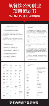 商业活动计划书的规范与潜在风险因素