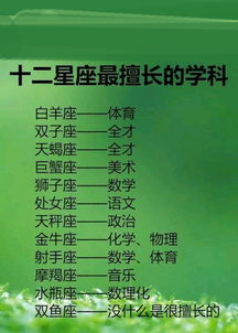 研究背景与理论框架