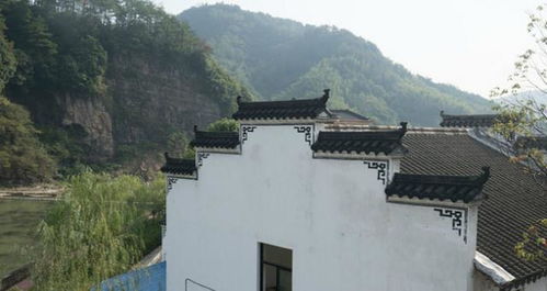 神秘组织浮出水面