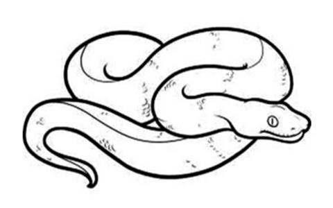 属蛇女性2026年运势如何，这一年运气是不是会很不错呢？