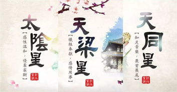 1. 寻求互补型合作伙伴