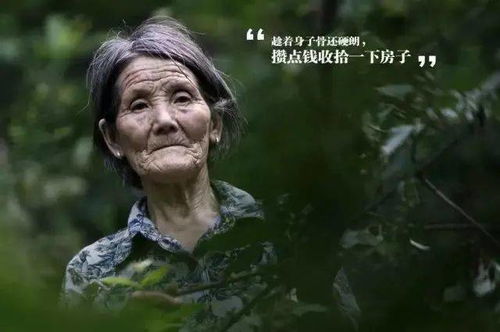 总的来说