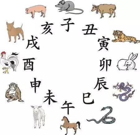 将民情物理打一生肖，这个生肖究竟是什么？