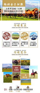 老司机带路！防坑指南