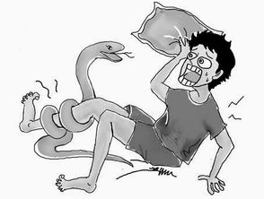 奶奶床头那本泛黄《周公解梦》——原来老辈人早把