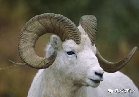 二、 诞生年份与五行属性的对应关系