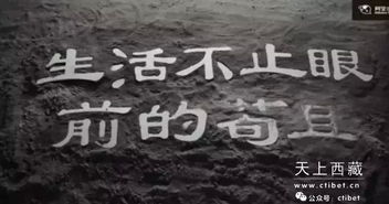一、 生肖星座视角下的“浪迹天涯”意象