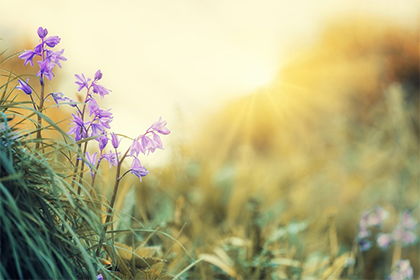 一、  农历二月装修的整体时运考量