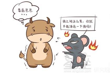 （二） 生肖属牛男友的心理特征与应对方案