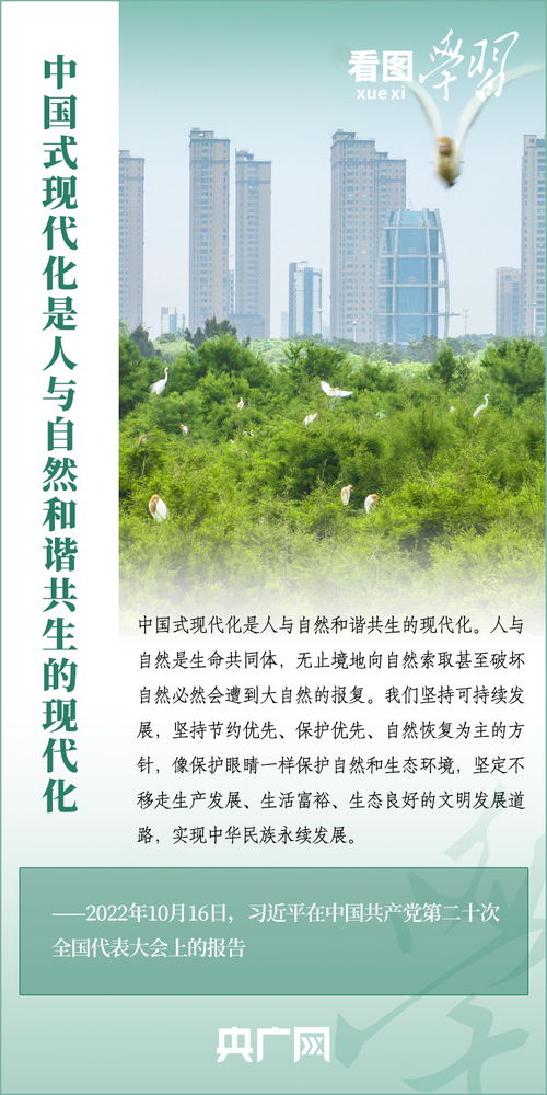 现代社会对风水的需求：一种精神慰藉？