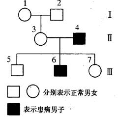 3.1 曹国君主系谱概览