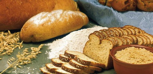 三、  肉类与生姜：特定食材的药用价值与嫩量激发